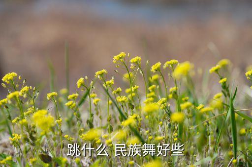 跳什么 民族舞好些