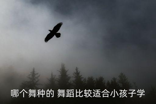 适合儿童的舞蹈,教孩子融入芭蕾舞艺术