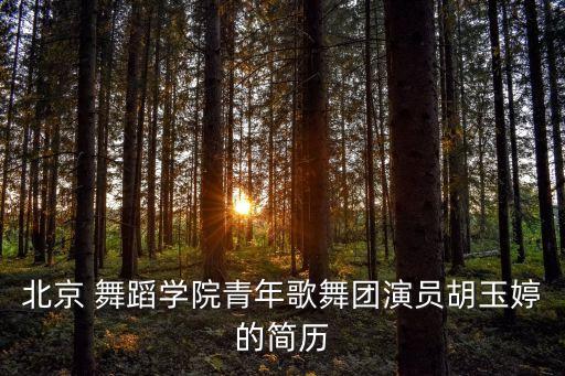 北京 舞蹈学院青年歌舞团演员胡玉婷的简历