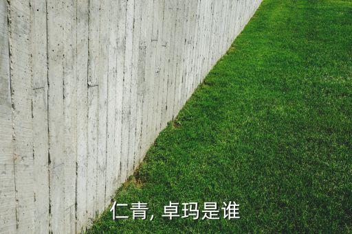 形体舞蹈卓玛,藏族姑娘走入豪华家具展示舞蹈技巧