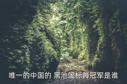 唯一的中国的 黑池国标舞冠军是谁
