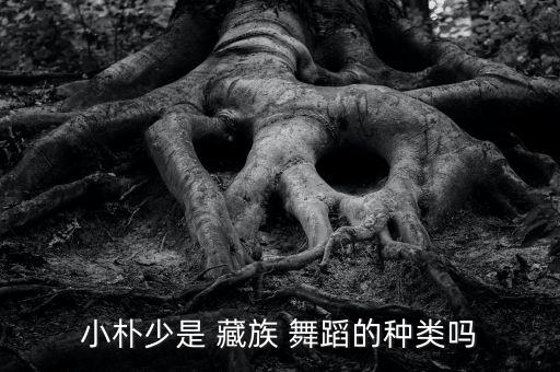 藏族舞蹈一颗爱你的心,小布少是a型吗?原创舞蹈
