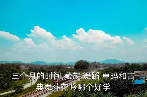 三个月的时间,藏族 舞蹈 卓玛和古典舞葬花吟哪个好学