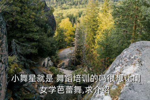 小舞星舞蹈加盟,快乐小舞星适合2-12岁儿童舞蹈