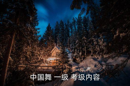 中国舞 一级 考级内容