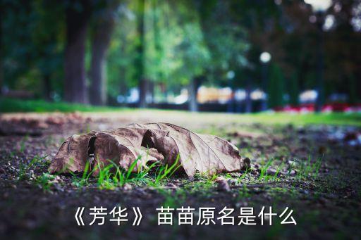 北京舞蹈学院 苗苗,【电影《芳华》第二集:苗苗饰演何小平