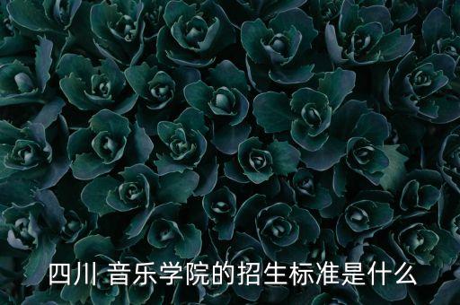  四川 音乐学院的招生标准是什么
