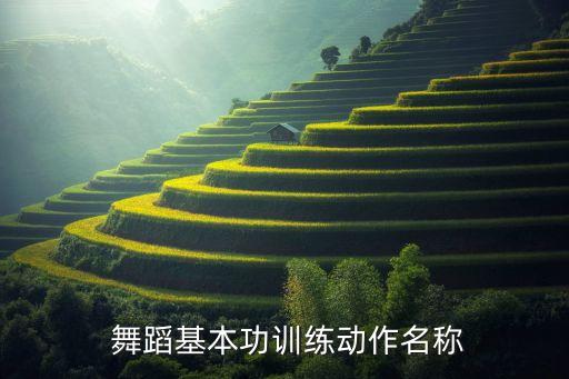 舞蹈小射燕动作,基本功练习有很多很难的地方