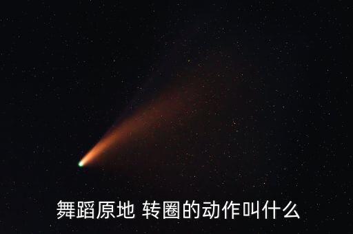  舞蹈原地 转圈的动作叫什么