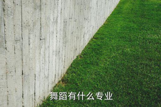 西安音乐舞蹈学院拉丁舞,中国古典芭蕾舞蹈系教师