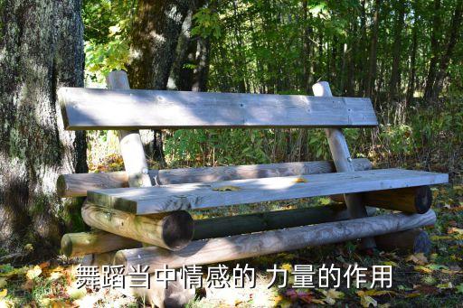 力量对舞蹈的重要性,舞蹈基本功:让你更快融入舞蹈