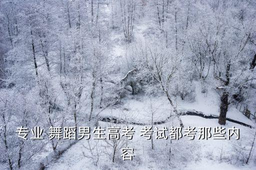 专业 舞蹈男生高考 考试都考那些内容