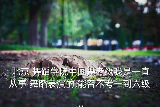 中国的北京舞蹈,中国舞蹈等级考试证书主要包括以下类型