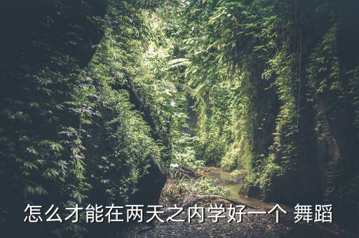 怎么才能在两天之内学好一个 舞蹈
