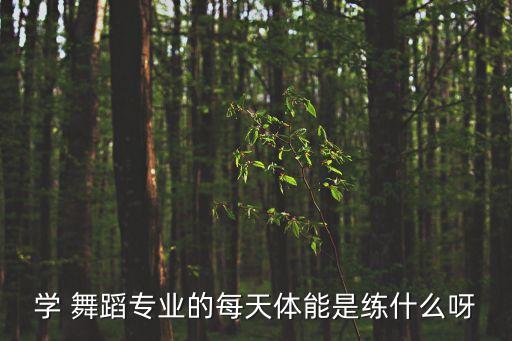 学 舞蹈专业的每天体能是练什么呀