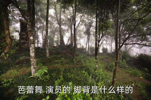 芭蕾舞 演员的 脚背是什么样的