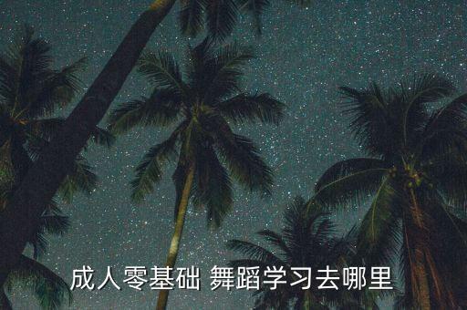 国内进修舞蹈去哪里,想学舞蹈先去舞蹈学校正规学校就读
