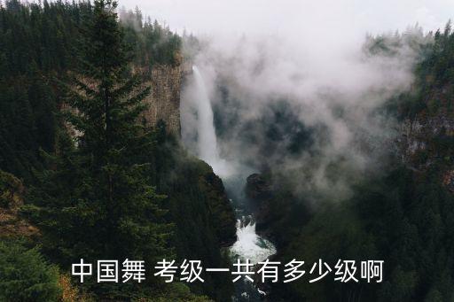 七级考级舞蹈名称,中国-2考级共13个年级