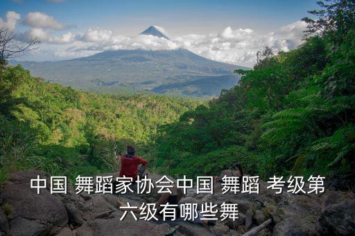 中国 舞蹈家协会中国 舞蹈 考级第 六级有哪些舞