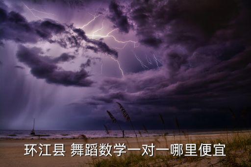 环江县 舞蹈数学一对一哪里便宜