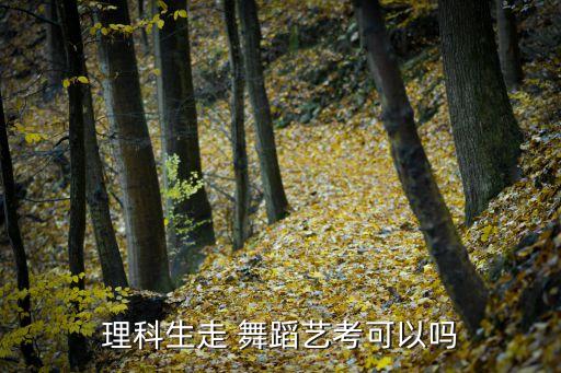 走 舞蹈,舞蹈学习（八）