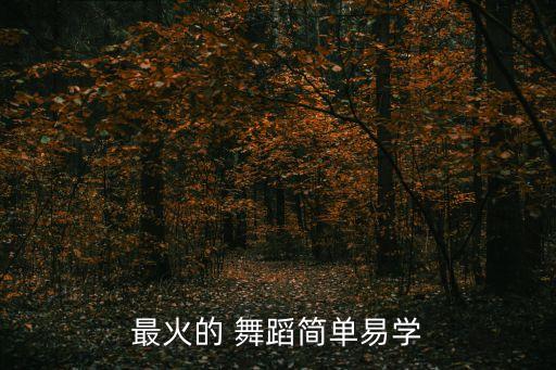 火的 舞蹈,tiktok最热门的舞蹈dj