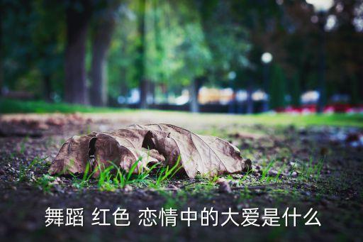  舞蹈 红色 恋情中的大爱是什么
