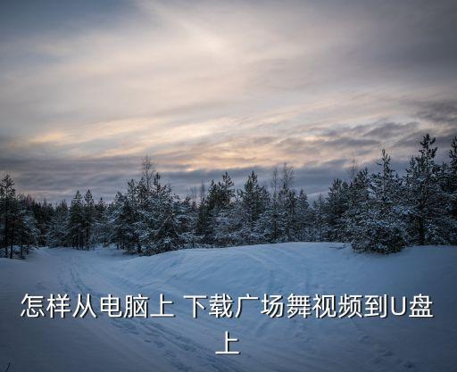 年会舞蹈 迅雷下载,如何从网上下载歌曲或视频播放?