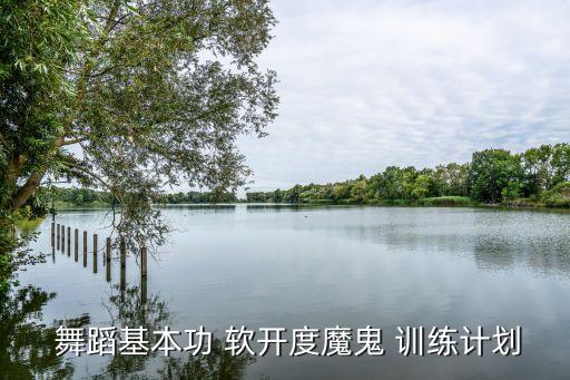  舞蹈基本功 软开度魔鬼 训练计划