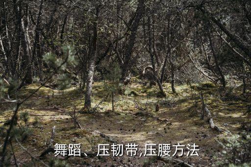 舞蹈地面吊腰照片,芭蕾舞蹈基本功:柔韧带按压