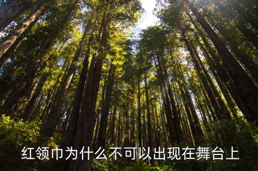  红领巾为什么不可以出现在舞台上