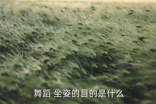 舞蹈地面坐姿,如何练柔,跳舞注意事项（1）