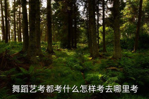  舞蹈艺考都考什么怎样考去哪里考
