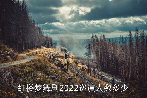 苟婵婵舞蹈视频,中国民族舞蹈团队以新疆常见动态词汇演出