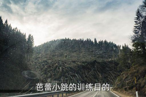 舞蹈一位小跳教案,第四集:舞蹈基础训练