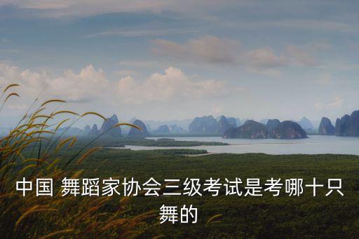 中国 舞蹈家协会三级考试是考哪十只舞的