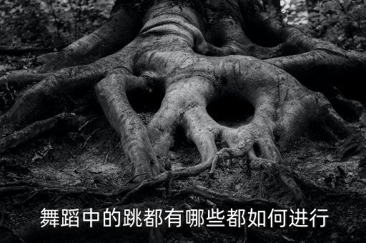  舞蹈中的跳都有哪些都如何进行