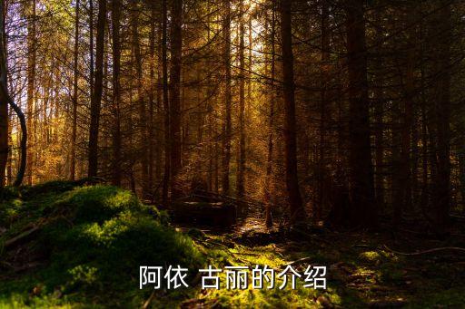 古丽舞蹈基本动作,我国女子民间舞蹈团队成功复出