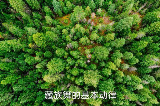 藏族舞蹈背面教学,藏族舞蹈基本动作包括三个方面