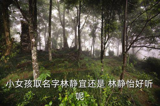 小女孩取名字林静宜还是 林静怡好听呢