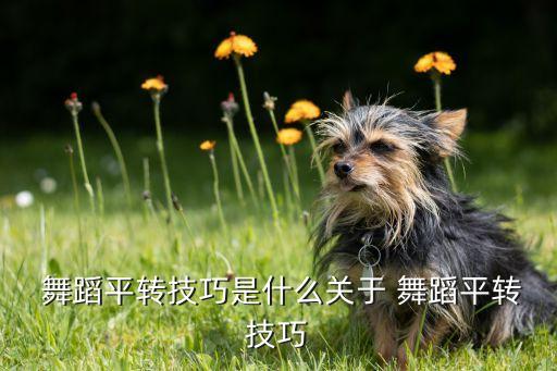  舞蹈平转技巧是什么关于 舞蹈平转技巧