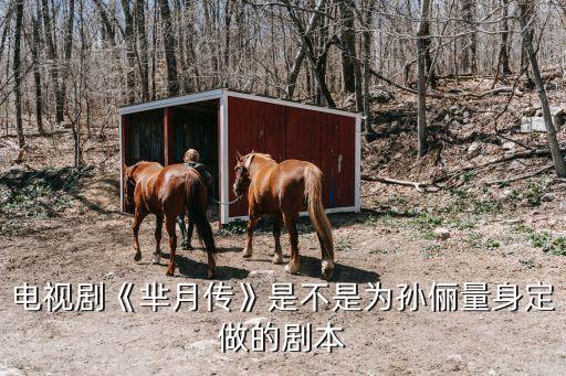 电视剧《芈月传》是不是为孙俪量身定做的剧本