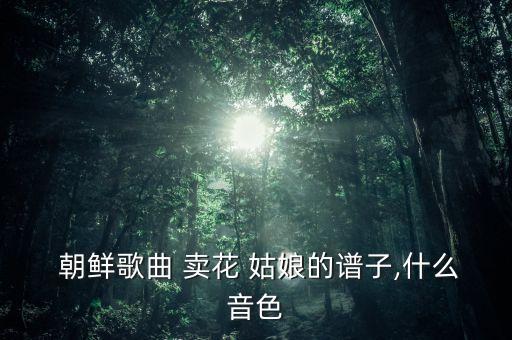  朝鲜歌曲 卖花 姑娘的谱子,什么音色