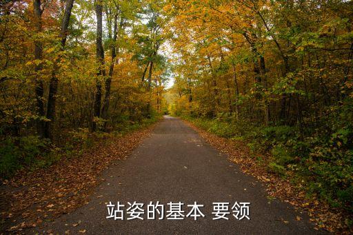 舞蹈站姿要领,舞蹈训练要求:整体姿势和步态1