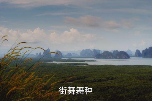 街舞舞种