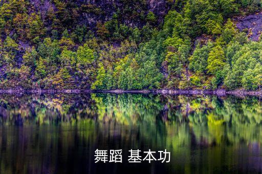  舞蹈 基本功