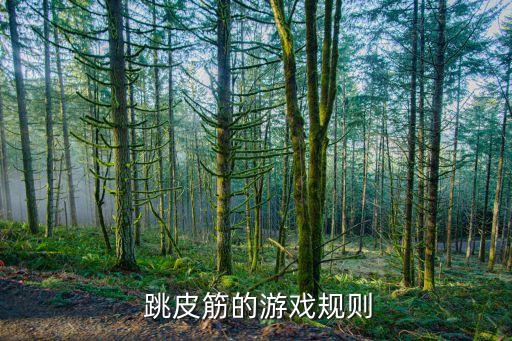  跳皮筋的游戏规则