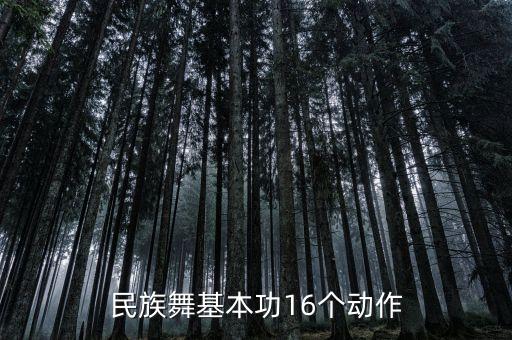 民族舞基本功16个动作