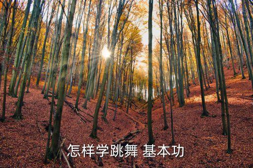 怎样学跳舞 基本功