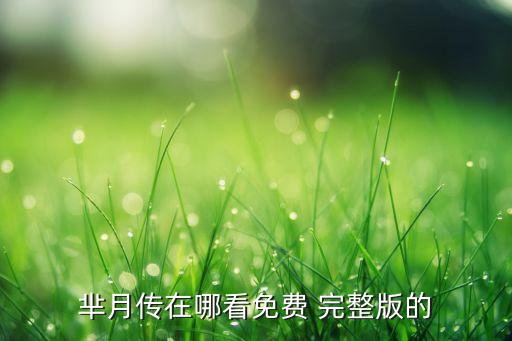 芈月传中的舞蹈完整版,舞蹈是传统文化的结晶
